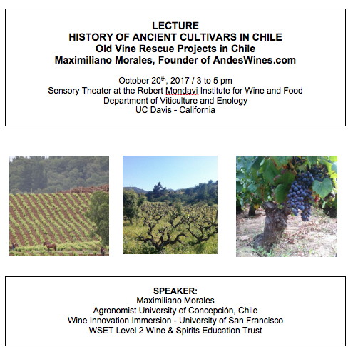  HISTORY OF ANCIENT CULTIVARS IN CHILE, Old Vine Rescue Projects in Chile