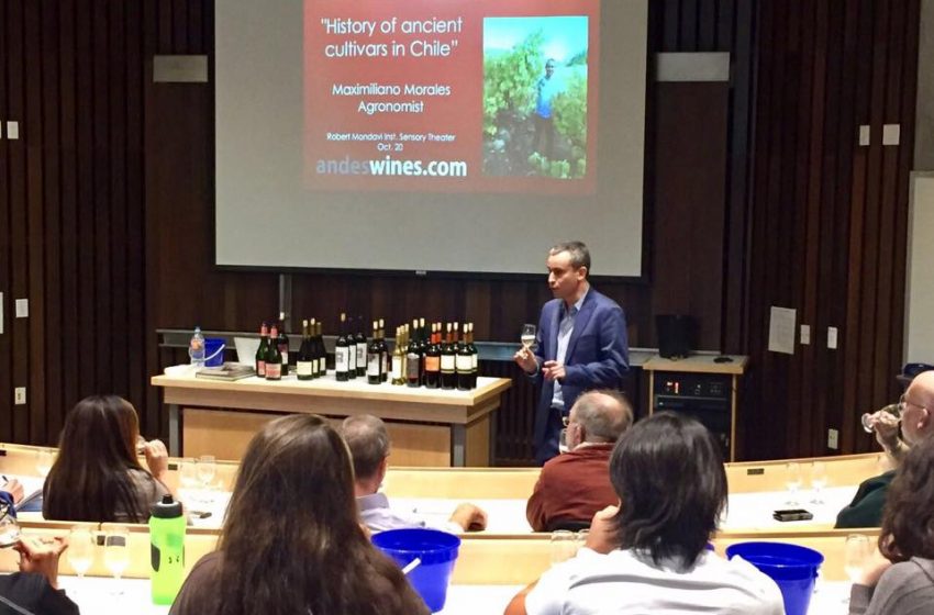  Vinos de antiguos viñedos Chilenos fueron destacados UC Davis California