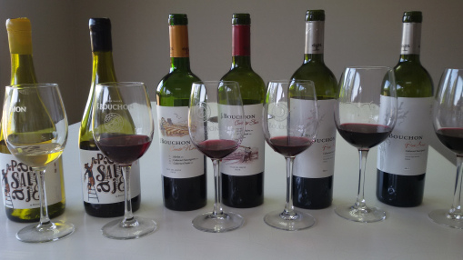 Visit # 22 Bouchon Family Wines #ChileWineExploration
