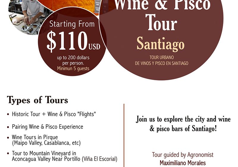  Tour Urbano de Vinos y Pisco en Santiago