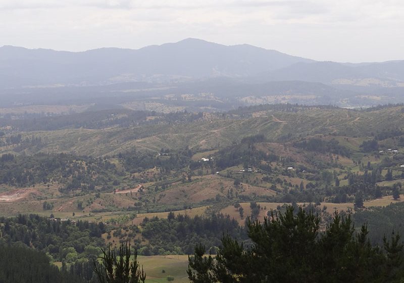 Araucania and Ñuble Region in Chile lose competitiveness in the wine business and the way out is Enotourism