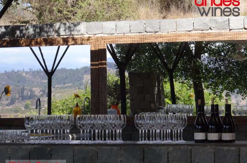 Relanzan Servicio de Búsqueda de Enólogos y Profesionales de EnoTurismo para Bodegas – Wine Head Hunter