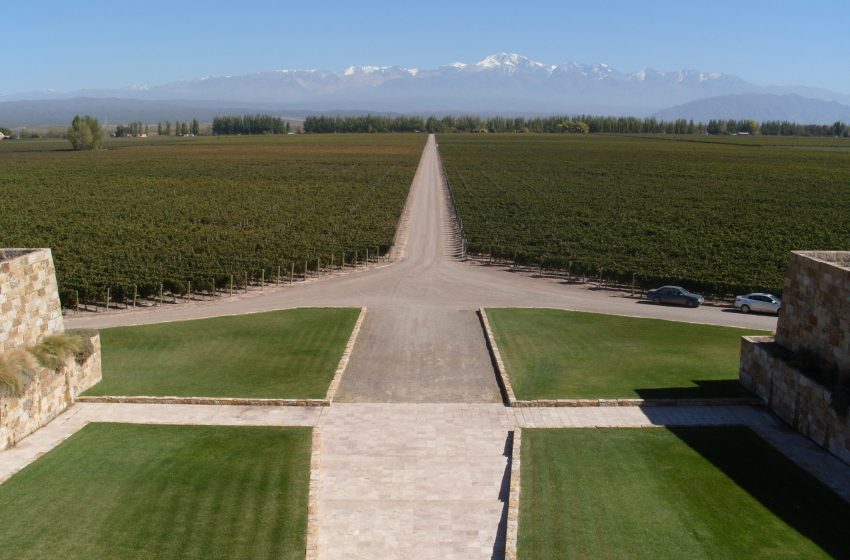 The success of Malbec in Argentina has inspired over 10 other countries to plant this grape variety