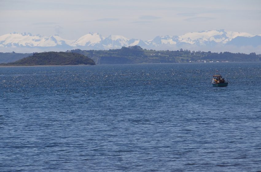 ¿Cómo comprar una isla en Chile para potenciar Turismo de Cruceros que navegan por Pacifico?