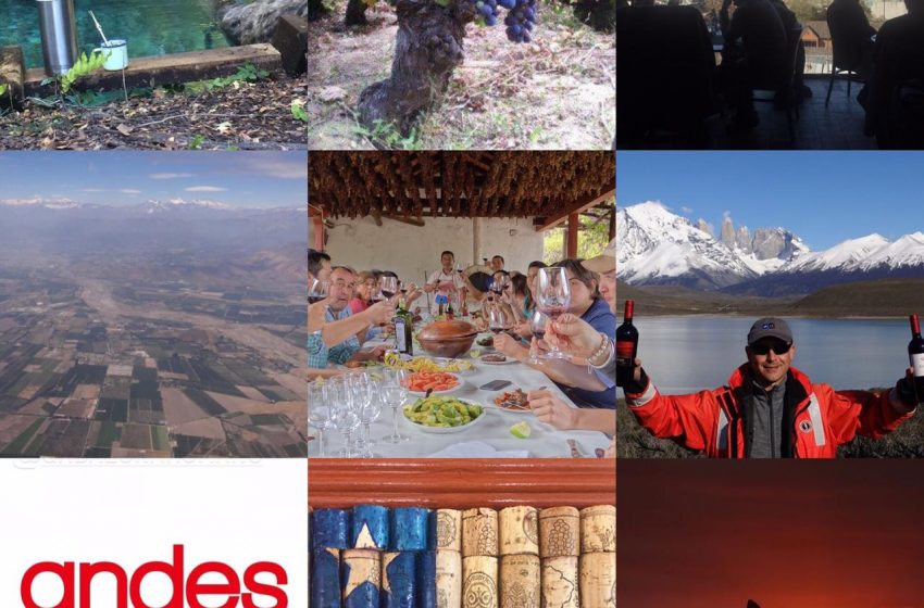  In Chile: Climate Change Wine Tour of Ancient Vineyards – Tailor Made Wine Explorations