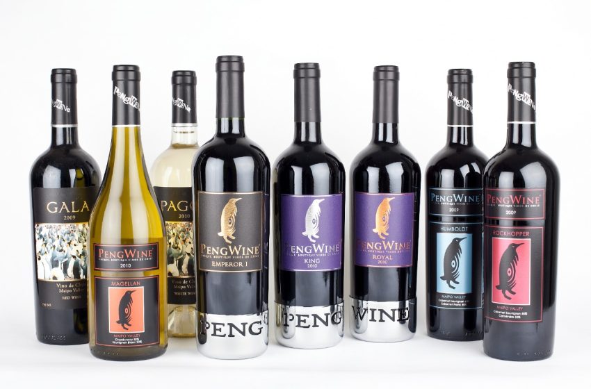  Vinos Premium de Viña PengWine a la venta (Remate)