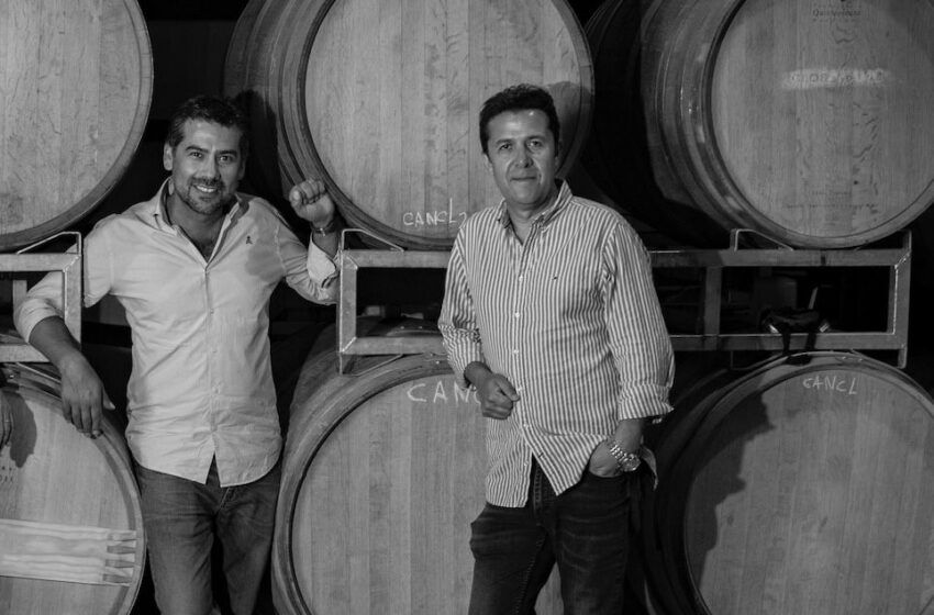Entrevista a Andrés Leiva de Bestias Wines Naturaleza, autenticidad y vinos con carácter