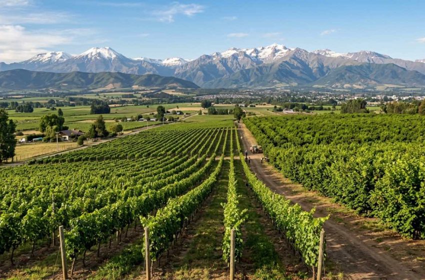  Atención productores agrícolas de Ñuble