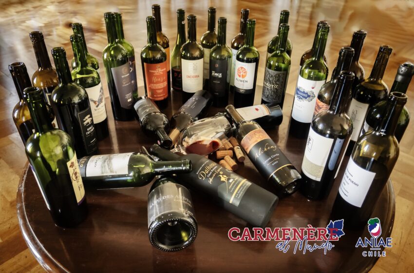 The Value of Carmenère