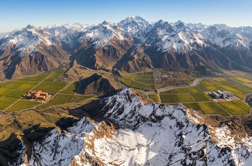  Que puede enseñar Chacras de Coria a Coquimbo, Aconcagua y Maipo