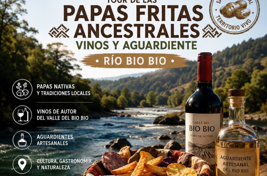  Papas Fritas Ancestrales de 1629 en Chile Inspiran una Ruta Gastronomica con Vinos y Destilados